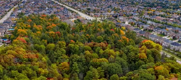 An urban/rural edge surveyed as part of an NHE in York Region. 