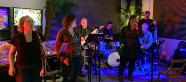 Birds of a feather band performing on stage