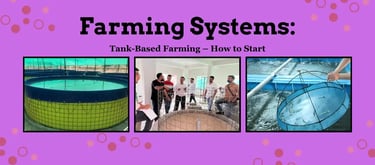 Farming Systems: Tank-Based Farming – How to Start