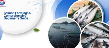 Salmon Farming: A Comprehensive Beginner’s Guide