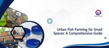 Urban Fish Farming for Small Spaces: A Comprehensive Guide