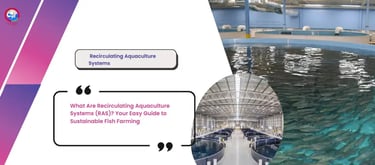 What Are Recirculating Aquaculture Systems (RAS)? Your Easy Guide to Sustainable Fish Farming