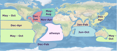 Global map of best sailing seasons across oceans by month