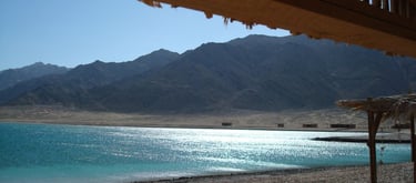 Red sea trip Blue lagoon Bedouin star