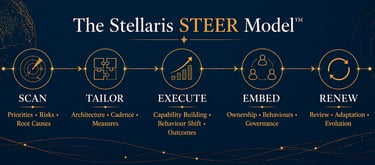 The Stellaris STEER Model diagram showing the business stages: Scan, Tailor, Execute, Embed, and Renew.