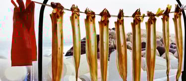 Waterscape, Busan 2017 ©Bruno Réquillart