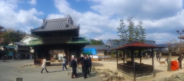 Foto da vida cotidiana em Miyajima.