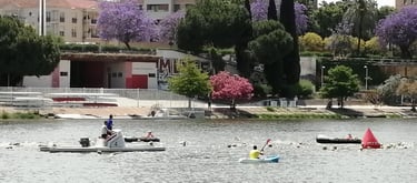 Athletes swimming in an open water race on a river with safety boats and blooming purple trees.