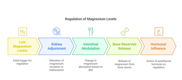 Magnesium regulation