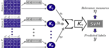 method for objective selection of information sources using multi-kernel SVM and local scaling
