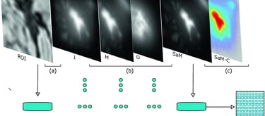 Feature extraction from saliency map