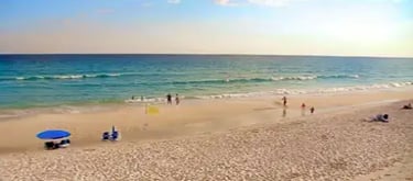florida-forgotten-coast-beach-cameras