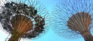 paket tour travel wisata 5 Hari 4 Malam dua 2 negara malaysia singapore singapura