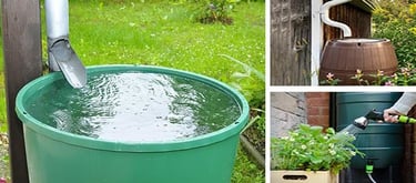 harvesting rainwater image