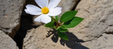 photo of white staircase