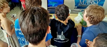 6 enfants de dos qui regardent une vidéo sur les requins