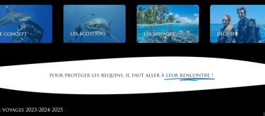 site internet de Shark Education voyages