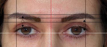 Symmetry is a priority - brow mapping app
