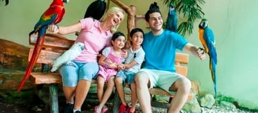 Day Tour Package in Kuala Lumpur, Malacca, Johore, Ipoh, Penang, Genting & Cameron Highlands, Colmar