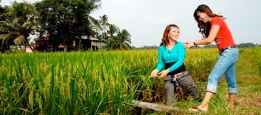 Homestay Package in Kuala Lumpur, Malacca, Johore, Ipoh, Penang, Genting & Cameron Highlands, Colmar