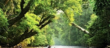 4 Days 3 Nights Kuala Tahan National Park Tour & Travel Packages