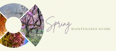 Spring landscape maintenance in Williamsburg, VA with cleanup, pruning, mulch, irrigation checks, and masonry repair.