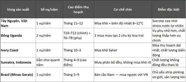 Lịch mùa vụ cà phê trên thế giới