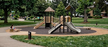 A wide-angle landscape photograph of a thriving North American public park with a modern, inclusive playground, clean paths, and mature trees, symbolizing a healthy community environment.