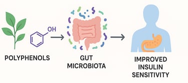 The Gut-Metabolite Link: How Polyphenols Fight Obesity-Related Insulin Resistance