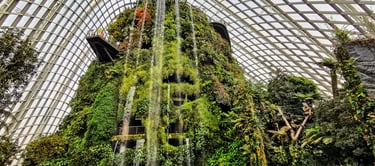 Gardens by the bay Singapore
