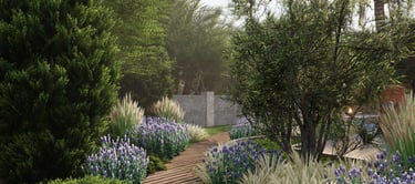 Устойчивый сад со злаками и тенью Барселона – минимальный уход – Myrtus Valley