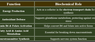Riboflavin functions