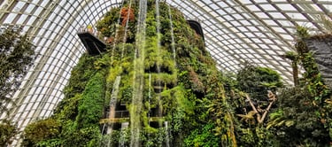 Gardens by the bay Singapore