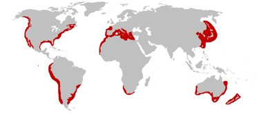 repartition-geographique-requin