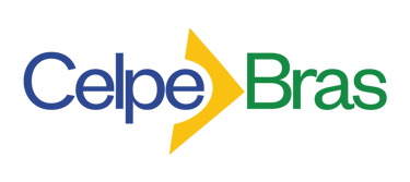 Celpe-Bras preparation course with writing, listening, and mock tests for Portuguese certification