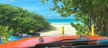 Culebra Puerto Vallarta Drop Out Christmas