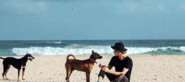 dog-friendly-beaches-near-anna-maria-island