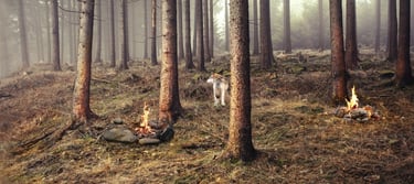 aufwendig gestaltete Pissoirwand