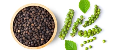 fresh and dry peppercorn with leaf isolated on white background. top view