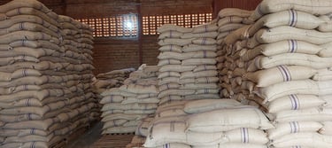 Coffee beans ready for export