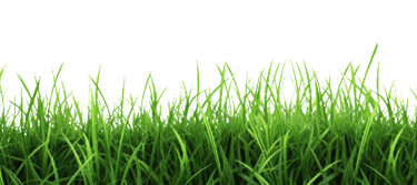 a field of clean grass with a poof on top