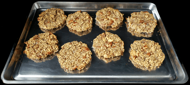 Favorite Oat Burgers / Nuggets