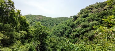 best resort in kerala