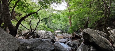 best resort in sholayur