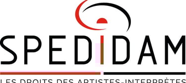 logo spedidam
