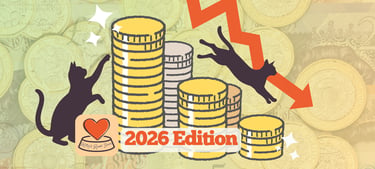 2026 edition of how you can feed your cat the best whilst saving money at Kitty's Rawr Store