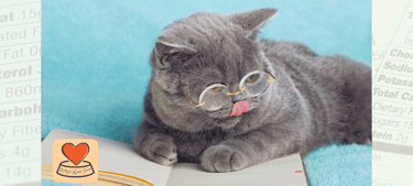 A cat trying to understand the ingredients label on cat food packaging.