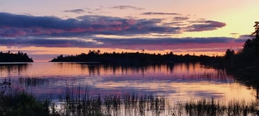 A marshy shoreline area that may be reviewed as part of a Natural Heritage Evaluation.