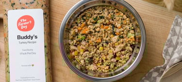 Dog food for finicky eaters
