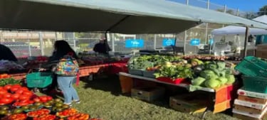 anna-maria-island-farmers-market
